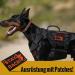 Oneigris Hi-Vis Reflective Dog Patches - Orange/Black Laser-Cut Design for Enhanced Visibility | International Shipping Available - Buy Online on GoSupps.com