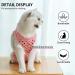 TORJOY Cat Professional Recovery Suit for Abdominal Wounds - Medium Wave Point | Anti-Licking, Breathable, E-Collar Alternative for Cats & Dogs - Buy Online on GoSupps.com