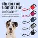 High-Quality 5m Cong Roll-Out Dog Leash for Small Dogs up to 20kg | Break & Lock System | Comfortable Soft Handle & Reflective Belt - Black - Buy Online on GoSupps.com