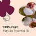 Plant Therapy Manuka Essential Oil 10 mL (1/3 oz) 100% Pure Undiluted Soothing Relief for Skin Blemishes and Respiratory Irritation - Buy Online on GoSupps.com
