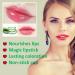 Aloe Vera Lipstick Set | Long Lasting Moisturizing Lip Balm | Nourishing & Color Changing | Waterproof Matte Lip Gloss | 5 Pack - Buy Online on GoSupps.com