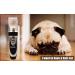 Everesta Low Noise Rechargeable Dog Clippers Kit for Pet Grooming - Gold+Black - Buy Online on GoSupps.com