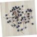 HOMSFOU 500 Pcs Simulation Blueberry Decoration Christmas Artificial Blueberries Fake Berry with Stem Mini Fake Berries Ornament Foam Wreath Christmas Tree Decorations Manual Small Fruit - Buy Online on GoSupps.com