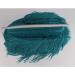 Heartwish268 Fringe Trim Lace Tassel 6 Wide 10 Yards for Clothes Accessories Latin Wedding Dress DIY - Black/White/Red/Peacock Blue - Buy Online on GoSupps.com