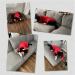 Jodsen Dogenbadel Red Dog Bathrobe - Super Absorbent Soft Towel for Pets (64cm/XL) - Fast Drying Adjustable Dog Towels & Cat Bathrobe - Buy Online on GoSupps.com