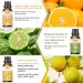 Hyppry 3 x 30ml Citrus Essential Oils Set - Lemon, Orange, Bergamot | 100% Pure & Natural for Diffuser, Aromatherapy, Relaxation, Cleaning, Candle & Soap Making - Buy Online on GoSupps.com