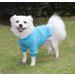 Buy Hualisiji Small Dog Sweater - Cozy Knitted Hoodie for Chihuahuas | Warm & Lightweight 2 Pcs Blue & Navy Blue (L) - Perfect for International Shipping - Buy Online on GoSupps.com