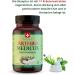 Buy Swissmedicus Arthromedicus Glucosamine & Chondroitin 120 Capsules with MSM Hyaluronic Acid & 11 Herbal Extracts - European Quality for Joint Health | International Shipping Available - Buy Online on GoSupps.com