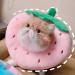 Adjustable Cat Collar - Soft Protective Cone for Wound Healing & Safety | Anti-Bite Comfort for Cats Dogs & Kittens - Strawberry Design - Buy Online on GoSupps.com
