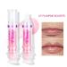 Spicy Lip Plumping Booster Gloss - Lifter Gloss for Fuller Hydrated Lips | High-Shine Lip Plumper for Women & Girls (#01 - Buy Online on GoSupps.com