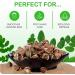 Huile De Moringa Pour La Croissance Des Cheveux Huile De Moringa Biologique Pour La Peau Pour Le Visage R duit Les Ridules claircit Le Teint De La Peau Croissance Des Cheveux Nourrissant 60Ml - Buy Online on GoSupps.com