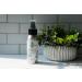 Patchouli Sandalwood Perfume Body Spray 2.5 Ounces - Buy Online on GoSupps.com