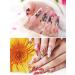 Ebanku 360pcs Clear Dual Nail Forms System | Acrylic & Poly Nail Mold Tips | Gel Nail Extension | Manicure Tools | Style B - Buy Online on GoSupps.com
