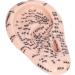 Premium Ear Acupuncture Points & Acupressure Tools - 17cm Probe & 600 Auricle Silicone Model - Buy Online on GoSupps.com