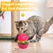 Interactive 3-in-1 Cat Toys | Red Cat Food Dispenser & Spring Toy for Slow Feeding & Training - Buy Online on GoSupps.com