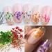 Dried Flowers, Foil Nail Chips, Glitter Stickers - Nail Art Supplies - Buy Online on GoSupps.com