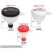 Nutribomb Medium Fill N Go - Protein Funnel - Supplement Funnel - Water Bottle Funnel - Travel Container for Gym Or Work (4) - Buy Online on GoSupps.com