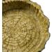 OMEM Reptile Natural Bowl Food and Water Dish Resin Made (Tree bark) - Buy Online on GoSupps.com