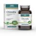 GSE Chlorella Pressing 550 tablets nutrient-rich micro algae rich in chlorophyll 100% vegetable vegan and without additives organic quality grows 550 pieces (1 Pack)