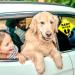 Buy Cobee Baby in Car Sign - 2 PCS Suction Cup Stickers for Safety | Cute Baby Feet Pattern | International Shipping Available - Buy Online on GoSupps.com