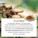 NaturTreu Mushroom Complex 120 Capsules | High-Dose Hericium Erinaceus Chaga Reishi & Shiitake Extracts | Vitamin B2 B5 & B6 - Premium Immune Support - Buy Online on GoSupps.com