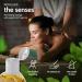 Vibratissimo Desire Jump - Refreshing Massage Oil with Mint Erotic Love Oil Desire Jump 250 ml (Pack of 1) - Buy Online on GoSupps.com