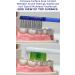 Sound Feelings Toothbrush - Basic Medium Adult 4-Pack - Buy Online on GoSupps.com