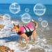 Ripstop Dog Life Jacket - Adjustable Pet Swim Vest for Small Medium Large Puppies - XL Pink (66-78cm Chest Circumference) - Floating Safety with Rescue Handle - Buy Online on GoSupps.com