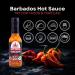 Poppamies Hot Sauce - Authentic Barbados Caribbean Flavor | Gluten-Free & Lactose-Free | Spicy 6/10 | 150ml - Buy Online on GoSupps.com