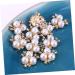 NUOBESTY 20 Pcs Embellishments Button Wedding Decoration Flatback Rhinestones Crystal Ab Rhinestones Flower Decor Crystal Flower Buttons Flatback Embellishment Rhinestone Button Bead Pearl As Shown medium - Buy Online on GoSupps.com
