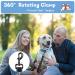 Short Dog Leash with Padded Handle | Reflective Nylon for All Dog Sizes | 32cm Training Leash - Buy Online on GoSupps.com
