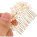 Didiseaon Hair Accessories Women Hairpins Hair Comb Elegant Headdress Fashion Headwear Hair Insert Comb - Buy Online on GoSupps.com