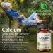 Futurebiotics Calcium 1200 MG Per Serving Sustained Release with Vitamin D3 1000 IU Per Serving Non-GMO 90 Vegetarian Tablets 90 Count (Pack of 1) - Buy Online on GoSupps.com