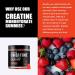 Sugar Free Creatine Monohydrate Gummies 5000mg - Vegan Muscle Growth Chewables with L-Taurine & B Vitamins Natural Mixed Berry Flavor 120 Count - Buy Online on GoSupps.com