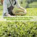 HQZM Oud Free Centered Yunnan Laobangzh PIDer River Dee 357g Pre Chingming Oude Tree - Buy Online on GoSupps.com