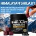 Primal Compound Shilajit Gummies for Men from The Himalayan Trace Minerals & Fulvic Acid No Added Sugar Non-GMO Energy Boost & Immune Support 30 Gummies - Buy Online on GoSupps.com