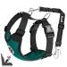 Eyin dog harness with seat belt for car 2 carabin hooks-combined with seat belt buckle child safety seat or trunk adjustable breathable dishes (green s) green s