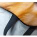 3D Cute Animal Sleep Eye Mask - Soft Plush Cat Blindfold for Kids & Adults | Perfect for Travel, Yoga, Office Nap - Eye Cover for Sleeping and Relaxation - Buy Online on GoSupps.com