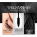 Fiber Lash Mascara Luxuriously Longer Thicker Eyelashes Long Lasting Dramatic Extension Stain Proof Weak Allergy Formula Beauty Trends (Black One Size) 7 ml (Pack of 1) Black - Buy Online on GoSupps.com