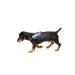 IDC Powerharness Size: 3XS/Baby 1 Blue Blue 3XS/Baby 1