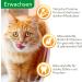 IAMS DELICIOUS Cat Food Wet with Juicy Beef & Carrots in Jelly - Adult Cat Full Meal - 24 x 85g Pack - Buy Online on GoSupps.com