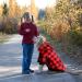 MTLIEPTE Red Plaid Dog Hoodie Sweater with Hat & Pocket XL - Pet Clothes - Buy Online on GoSupps.com