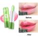 Moisture Lip Balm - Aloe Vera Lipsticks Moisturizing Color Changing Lipstick Long Lasting Nutritious Lip Balm Lips Hydrating Lip Gloss - Buy Online on GoSupps.com