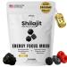 Performance Shilajit Gummies with CoQ10 and Ashwagandha Pure 7-in-1 Formula with 75% Fulvic Acid & 92+ Minerals For Men & Women Energy Focus & Stress Support 60 Sugar-Free Himalayan Gummies