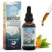 HerbEra Massachusetts Herbal Detox Blend - USDA Organic Extract Made in USA | Immune & Liver Support Liquid Drops | Dandelion Root Milk Thistle Noni Rhodiola Chaparral | 2 fl oz