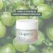  Grapey Grapey Anti-Ageing Face Cream with Vinace and Grapes | Cream Set 50 ml + Refill 50 ml | Deep Hydration Anti-Wrinkle and Antioxidant Effect | Natural Formula Suitable for All Skin Types - Buy Online on GoSupps.com