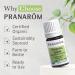 Oregano Essential Oil - 100% Pure & Natural (5ml) | Pranarom - Therapeutic Grade USDA & ECOCERT Certified Organic for Diffusing & Cleaning - Buy Online on GoSupps.com