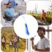 Blue Travel Toothbrush - Foldable Soft Bristles for Camping & Trips | Ergonomic Design | Compact & Portable Toothbrush 18.3cm - Buy Online on GoSupps.com