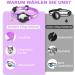 Airtag Cat Collar - Waterproof Reflective Neck Band for Cats & Small Dogs (Purple 23-33cm) - Safety Lock & Tracking - Buy Online on GoSupps.com