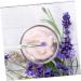 Baluue 12 Pcs Eye Shadow Brush Eye Blending Brush Eyeshadow Transparent Plastic Handle 14.6x0.9cmx2pcs Assorted Colorx2pcs - Buy Online on GoSupps.com
